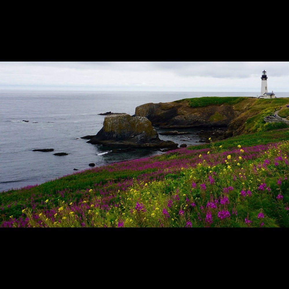 Meet your Posher, Lindsay